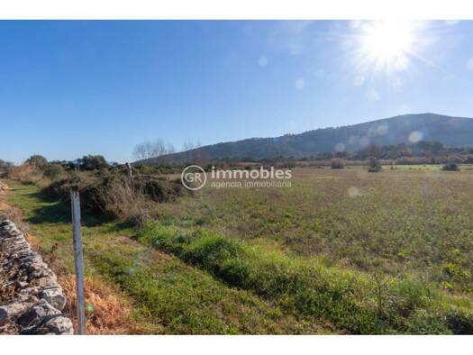 Acker-/Waldstück zum Kauf 65.000 € Pollença 07460