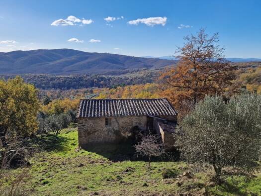 Rustico zum Kauf 490.000 € 5 Zimmer 375 m² 25.000 m² Grundstück frei ab sofort Monte San Savino 52048