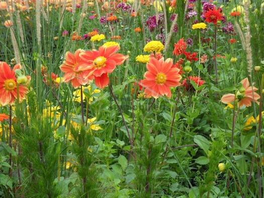 Grundstück zum Kauf 640.000 € 973 m² Grundstück Niendorf Hamburg / Niendorf 22453