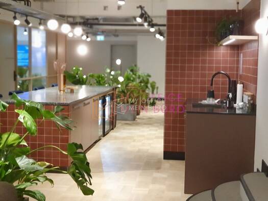 Coworking Space zur Miete provisionsfrei 2.480 m² Bürofläche teilbar ab 5 m² Mitte Berlin 10117