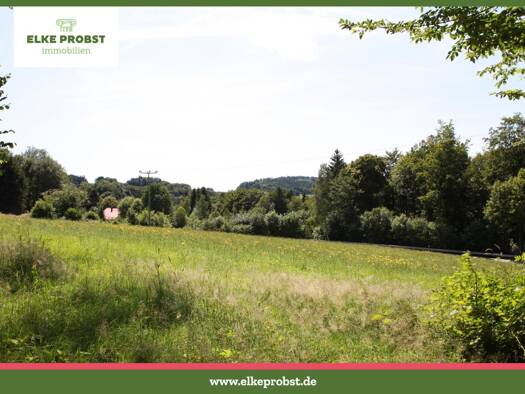 Grundstück zum Kauf provisionsfrei 43.000 € 5.923 m² Grundstück Herzogau Prosdorf Waldmünchen 93449