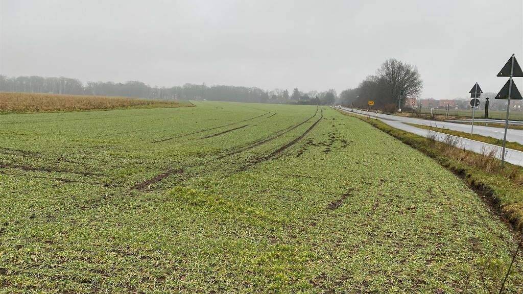 Land-/Forstwirtschaft zum Kauf 8,50 € 200.781 m² Grundstück Deuten Dorsten-Deuten 46286