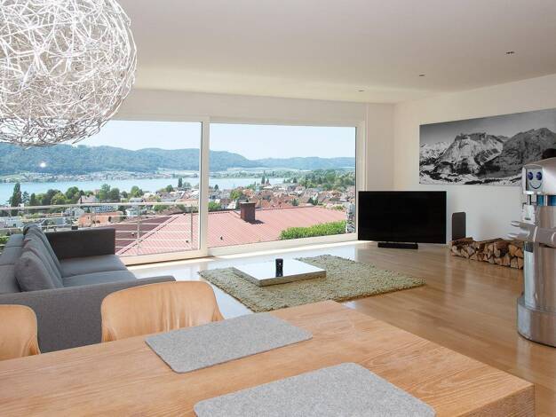 Doppelhaushälfte zum Kauf provisionsfrei 1.750.000 € 4 Zimmer 201 m² 355 m² Grundstück Ludwigshafen Bodman-Ludwigshafen 78351