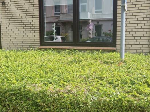 Wohnung zur Miete 430 € 2 Zimmer 37 m² 2 Geschosse frei ab 01.09.2026 Jürgensby Jürgensby 24943