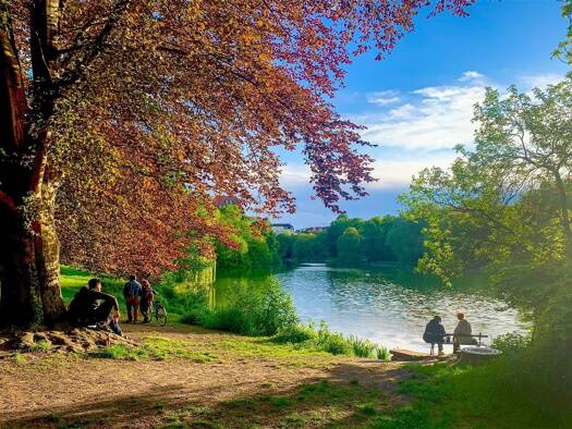 Einfamilienhaus zum Kauf 2.200.000 € 8 Zimmer 290 m² 300 m² Grundstück Westend Berlin 14050