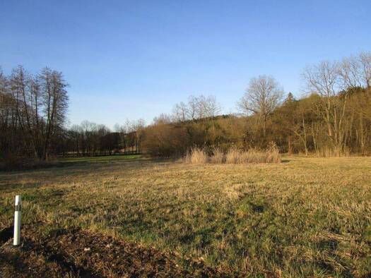 Grundstück zum Kauf Mintraching Neufahrn bei Freising 85375