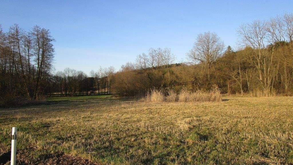 Grundstück zum Kauf Mintraching Neufahrn bei Freising 85375