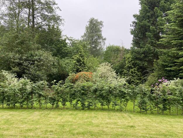 Wohnung zur Miete 1.800 € 3 Zimmer 90 m² EG Barenkrug 30 Farmsen-Berne Wandsbek 22159