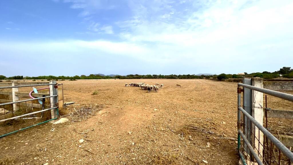 Grundstück zum Kauf 15.000.000 € 1.400.000 m² Grundstück Campos 07630