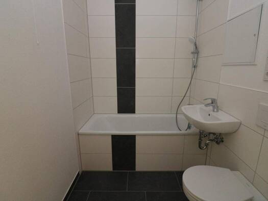 Wohnung zur Miete 379 € 2 Zimmer 53,9 m² 4. Geschoss Paul-Müller-Straße 16 Freiberg 09599