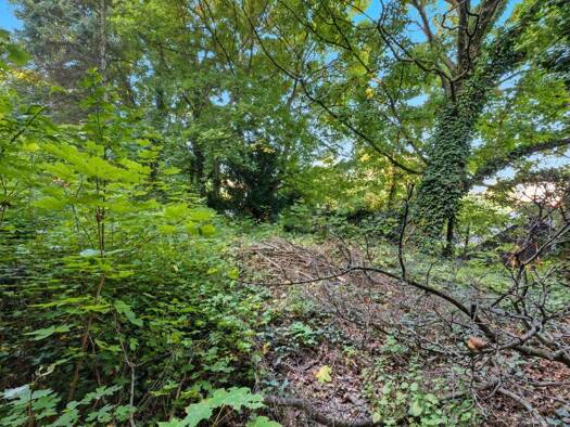 Grundstück zum Kauf 698.000 € 1.511 m² Grundstück Bisamberg 2102