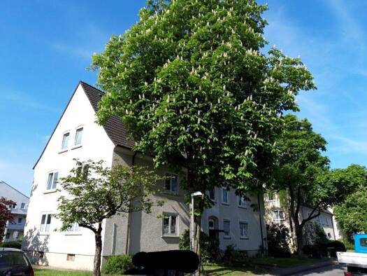 Wohnung zur Miete 429 € 3,5 Zimmer 51 m² 2. Geschoss frei ab 01.02.2026 Am Urnenfeld 11 Alstedde Lünen 44534