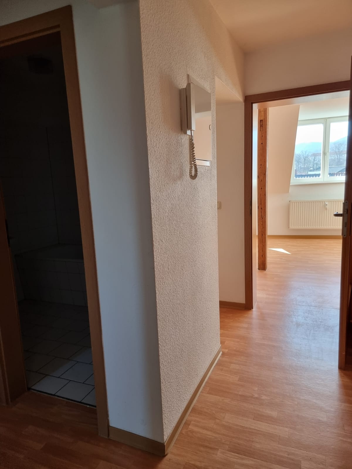 Studio zur Miete 750 € 5 Zimmer 120 m²<br/>Wohnfläche Saalfeld Saalfeld 07318