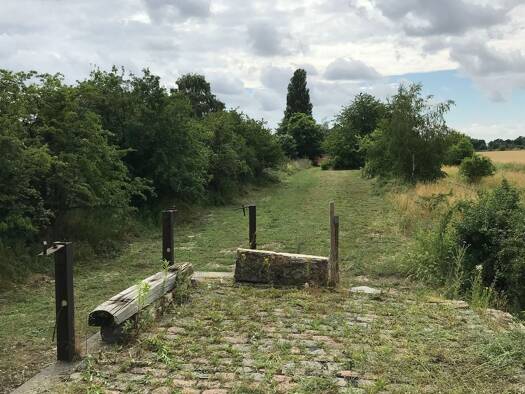 Grundstück zum Kauf provisionsfrei 6.038 m² Grundstück Am Bahnhof 1 Obhausen Obhausen 06268