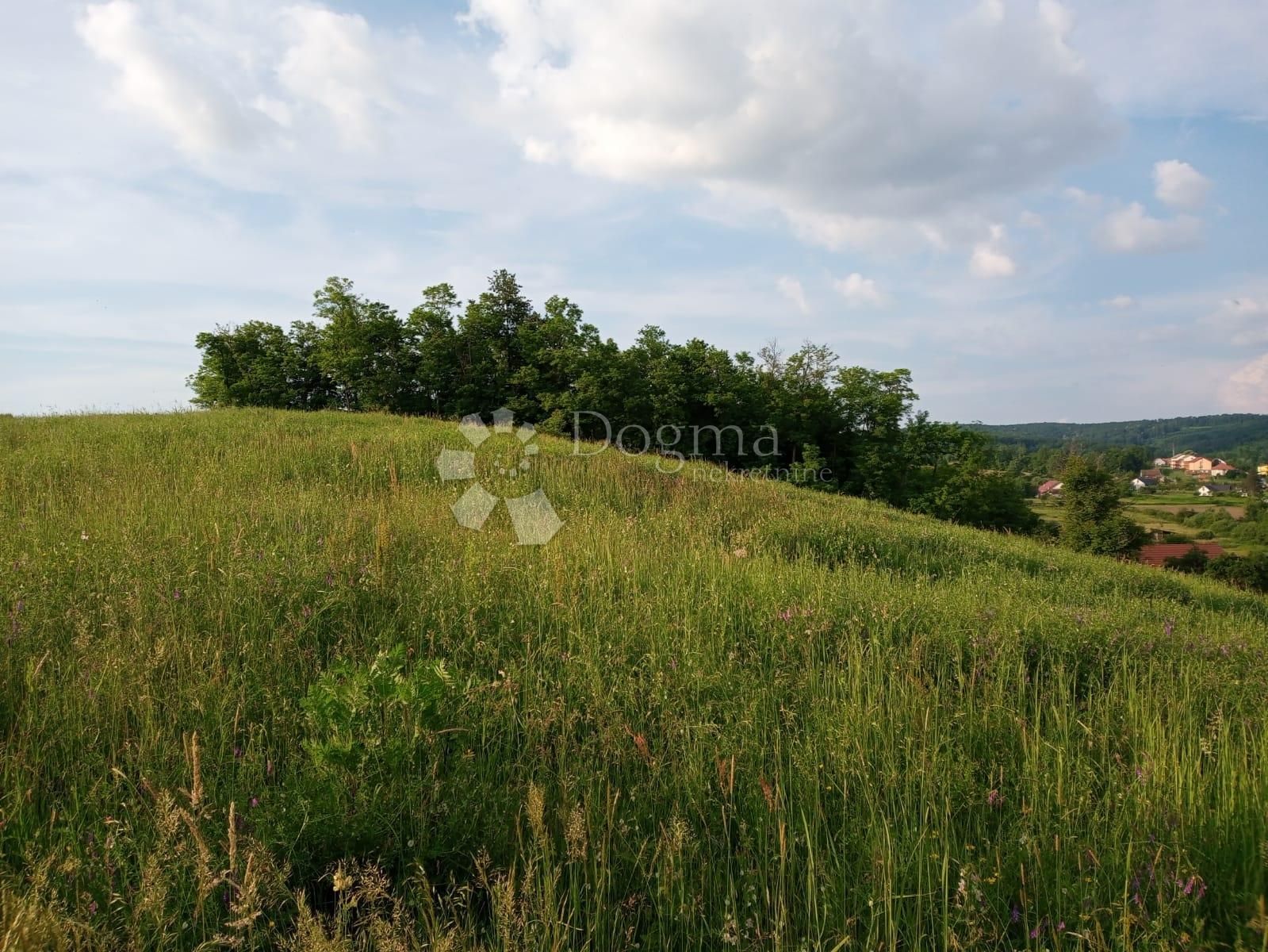 Land-/Forstwirtschaft zum Kauf 14.500 € Nova Ljeskovica 34350