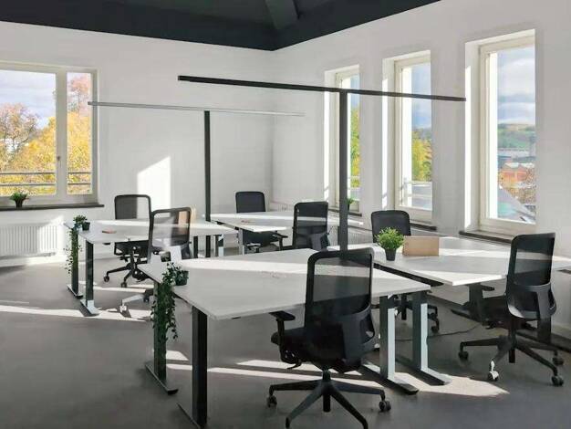 Bürofläche zur Miete provisionsfrei 900 m² Bürofläche teilbar ab 15 m² Schulstraße 38 Altchemnitz Altchemnitz 09125