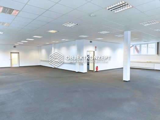 Büro zur Miete 1.500 m² Bürofläche teilbar ab 252 m² Oberndorf Oberndorf am Neckar 78727