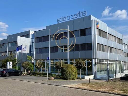 Bürofläche zur Miete provisionsfrei 13 € 200 m² Bürofläche teilbar ab 40 m² Schwalbach 65824