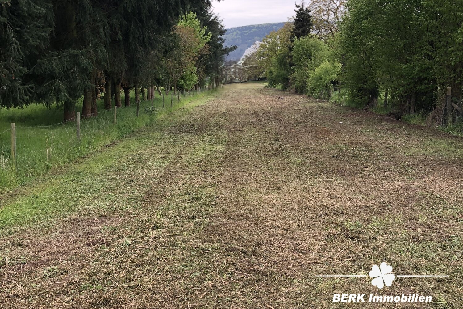 Gewerbegrundstück zum Kauf 2.200 m²<br/>Grundstück Miltenberg Miltenberg 63897