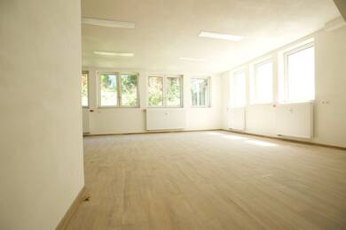 Wohnung zur Miete - Neubau 900 € 3 Zimmer 101 m² Souterrain Müllheim Müllheim 79379