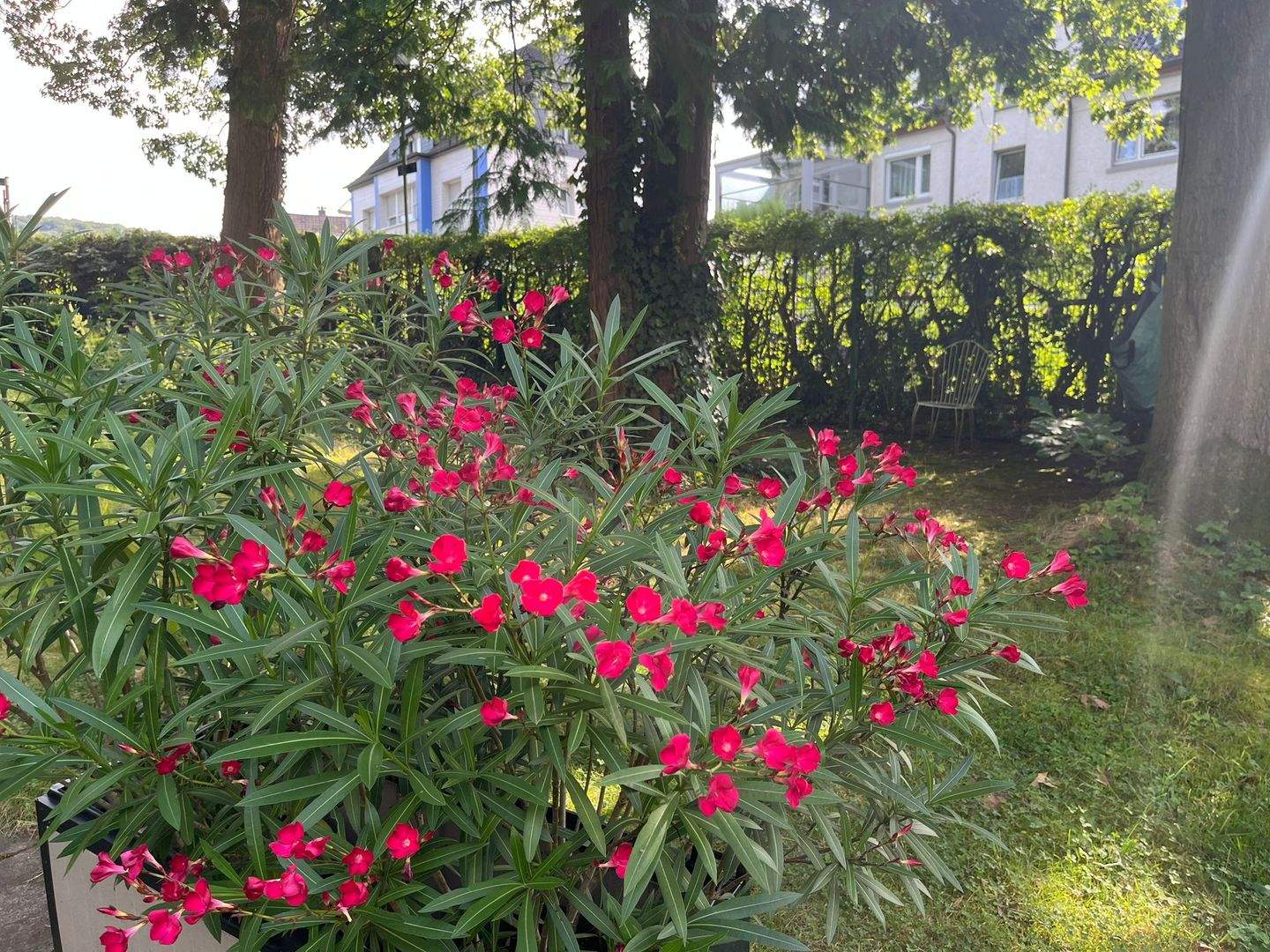 Baugrundstück mit positiver Bauvoranfrage