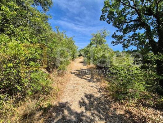 Acker-/Waldstück zum Kauf 555.555 € Drniš 22320
