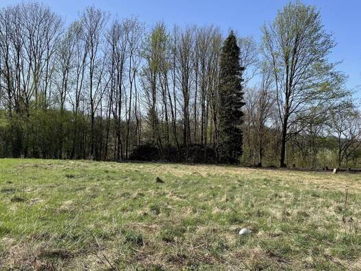 Grundstück zum Kauf provisionsfrei 60.500 € 1.526 m² Grundstück Sebnitz 01855