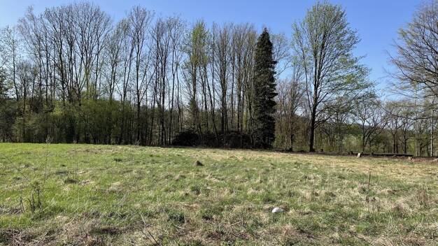 Grundstück zum Kauf provisionsfrei 60.500 € 1.526 m² Grundstück Sebnitz Sebnitz 01855