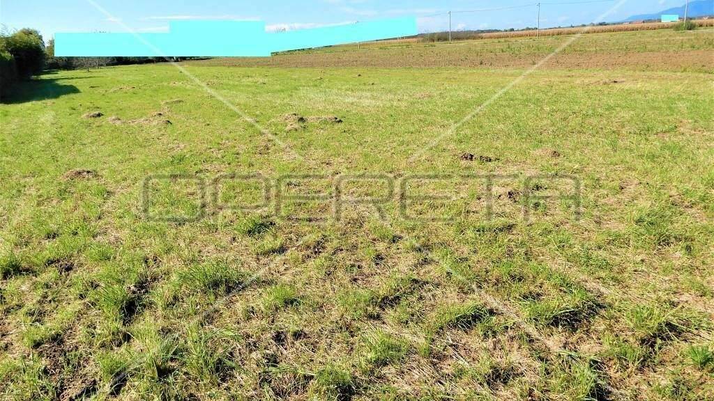 Land-/Forstwirtschaft zum Kauf 105.000 € Nova Ves - Gupceva zvijezda