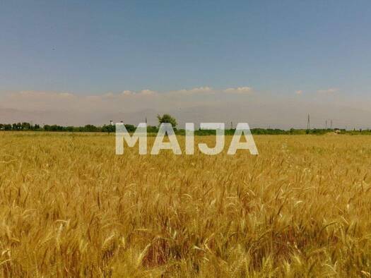 Land-/Forstwirtschaft zum Kauf 19.500.000 € 16.000.000 m² Grundstück Stoene?ti 237430