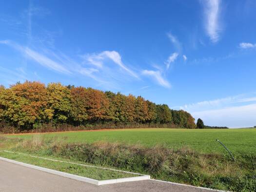 Grundstück zum Kauf 255.000 € 511 m² Grundstück Oberbergen Penzing 86929