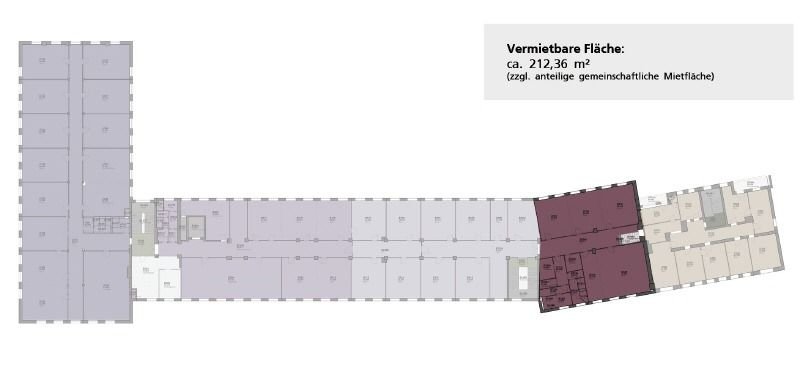 Büro-/Praxisfläche zur Miete provisionsfrei 212,4 m²<br/>Bürofläche Johannstadt-Süd (Zöllnerstr.) Dresden 01307