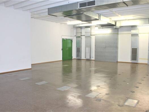Lagerhalle zur Miete 850 € 100 m² Lagerfläche Aulendorf Aulendorf 88326