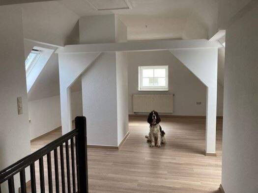 Wohnung zur Miete 253 € 2 Zimmer 46 m² Parkstraße 13 Lengenfeld 08485