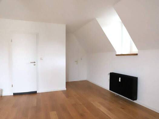 Wohnung zur Miete 500 € 1 Zimmer 25 m² Innenstadt Trier 54290