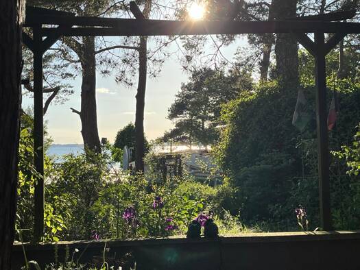 Bungalow zum Kauf 50.000 € 2 Zimmer 35 m² 110 m² Grundstück Meesiger 17111