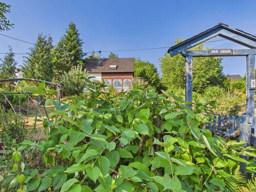 Einfamilienhaus zum Kauf 333.000 € 6 Zimmer 134,4 m² 806 m² Grundstück Waldstraße 5 Riol 54340