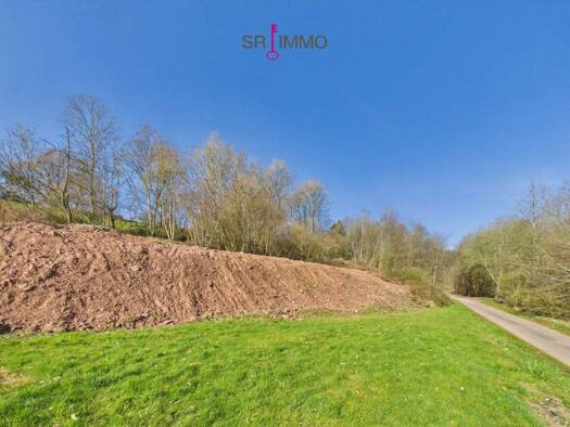 Grundstück zum Kauf 75.000 € 1.264 m² Grundstück Mettendorf 54675