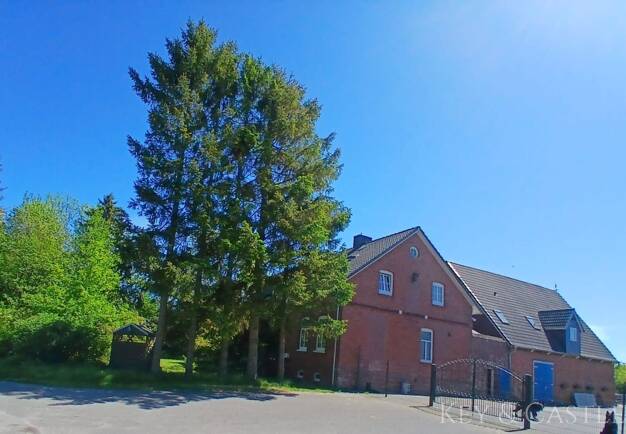 Einfamilienhaus zum Kauf 550.000 € 8 Zimmer 187 m² 10.000 m² Grundstück Freiburg (Elbe) 21729