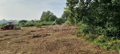 Land-/Forstwirtschaft zum Kauf 307.300 € Brtonigla center 52474