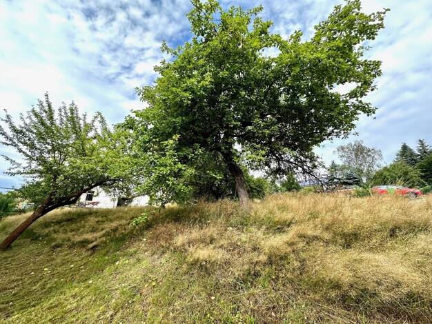 Einfamilienhaus zum Kauf 359.529 € 4 Zimmer 134 m² 900 m² Grundstück Wittgensdorf Wittgensdorf 09228