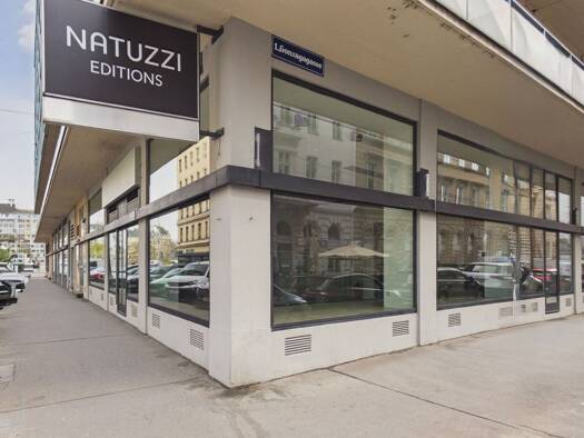 Laden zur Miete 26,97 € 257,7 m² Verkaufsfläche Wien 1010