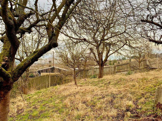 Sonstiges zum Kauf 14.500 € 31 m² 588 m² Grundstück Königsee Königsee-Rottenbach 07426