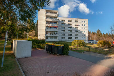 Wohnung zum Kauf 39.000 € 3 Zimmer 48 m² Hahnenklee Goslar 38644