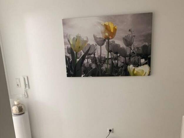 Wohnung zur Miete 620 € 1 Zimmer 18 m² 2. Geschoss Horn Hamburg 22111