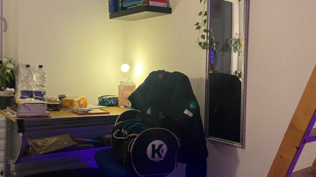 Studio zur Miete 500 € 1 Zimmer 25 m² Kessenich Bonn 53129