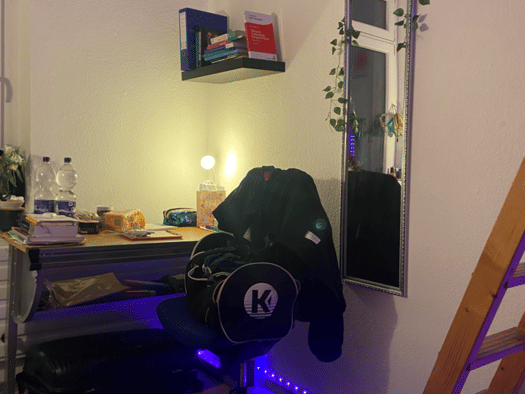 Wohnung zur Miete 500 € 1 Zimmer 25 m² Kessenich Bonn 53129