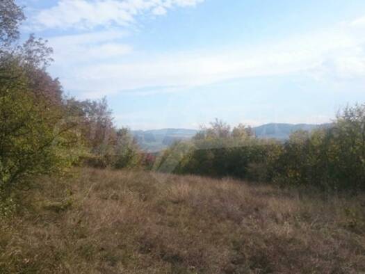 Landwirtschaftliche Fläche zum Kauf 14.000 € Gabrovo
