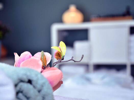 Praxis zum Kauf provisionsfrei 57 € 2 Zimmer 57 m² Bürofläche Tannenstraße 4 Kühlungsborn 18225