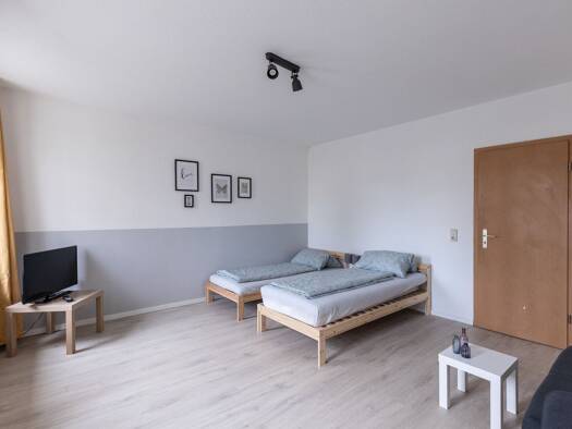 Wohnung zur Miete 250 € 1 Zimmer 43 m² EG frei ab sofort Auestraße 7 Waldheim Waldheim 04736